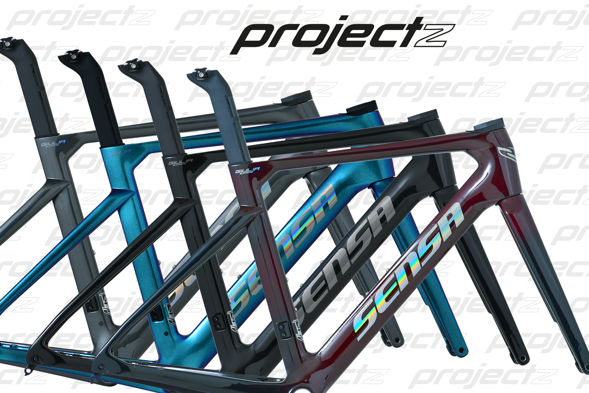 Project Z